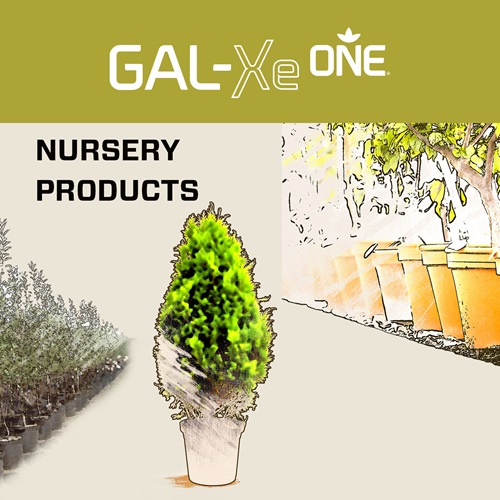 GAL-XeONE-Products-NURSERY