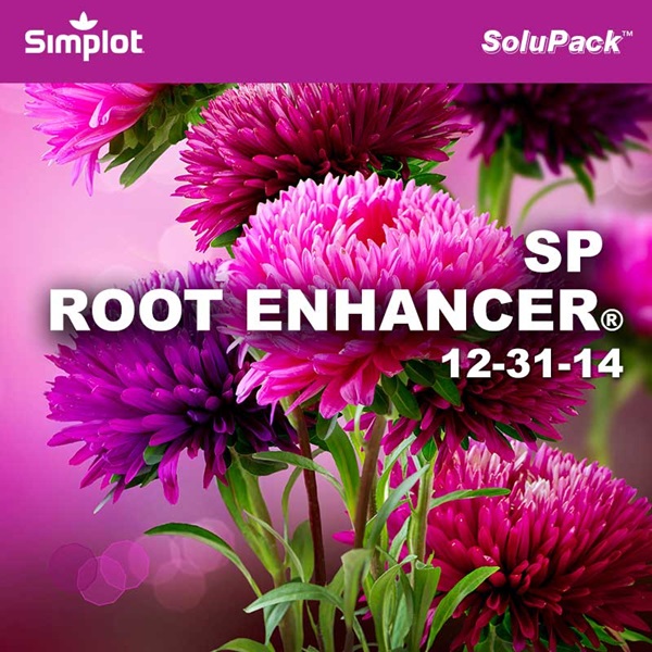 SP Root Enhancer product image